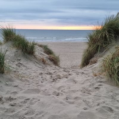 BlackyPRY's profile picture. 18y