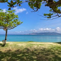 takapon@道民兼泡瀬民 (@eolkrlyad8cso6h) 's Twitter Profile
