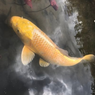 ppLSZLOVvZJnQrT's profile picture. 