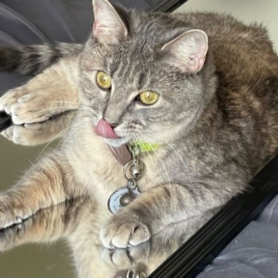 excel75502's profile picture. 