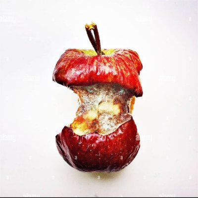 generalLDS's profile picture. I’m 23
proud penguin supporter

VERY CRINGE INDIVIDUAL