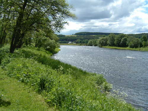 RsaaSpey's profile picture. A website for Spey anglers which includes useful links and a Newsletter and Blog.