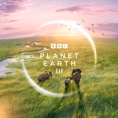 Creative Director BBC NHU: Exec producer: #PlanetEarth2 #Dynasties #TheGreenPlanet #PrehistoricPlanet and  #PlanetEarth3 (Views my own)