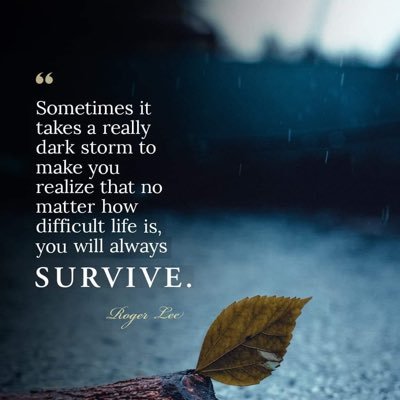 FadiaSaadun's profile picture. 