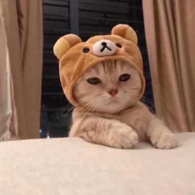 ousWT2f5xjWkoKC's profile picture. #コバさんず