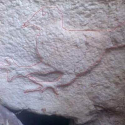 chicobicho29495's profile picture. 