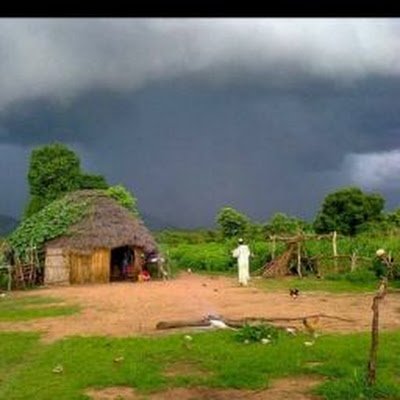umaryahaya3915's profile picture. Environmental Toxicologist