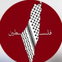 Aisha Alraees (@aalraees) Twitter profile photo