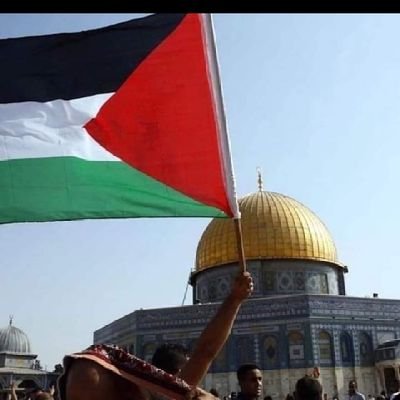 اللهم انصر فلسطين وشعبها 🇵🇸

💙 Follow Back