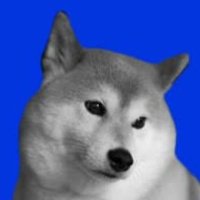 一般通過ホモ (@takaho_inmu) 's Twitter Profile