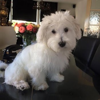 yamagi202's profile picture. ❤️❤️♥️♥️