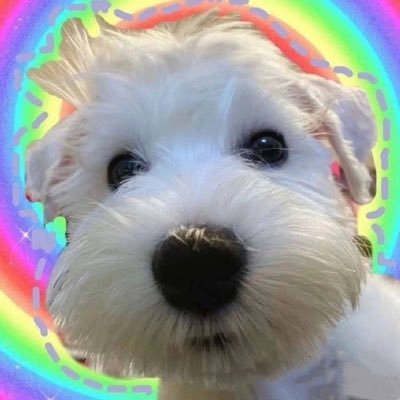 min_11y's profile picture. 