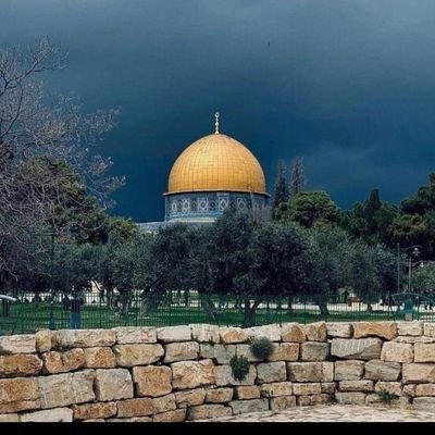 abo_eid9182's profile picture. الحمدلله