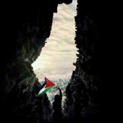 Laetitia92400's profile picture. 