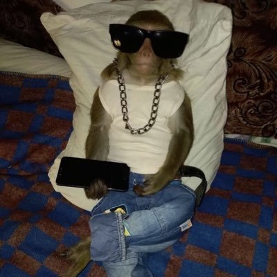 Je beste psycholoog 👨‍⚕️ Noem Me Maar Bombino 💶