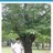 syj9942063's profile image