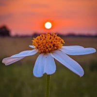 yorun (@yorun0san) 's Twitter Profile Photo