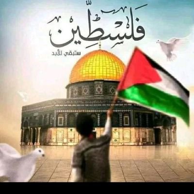 H9lBR7gv5tDk6nH's profile picture. ‏‏مواطن حر  يحتاج لوطن حر