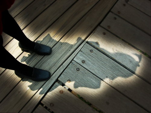 ritsu0728's profile picture. 