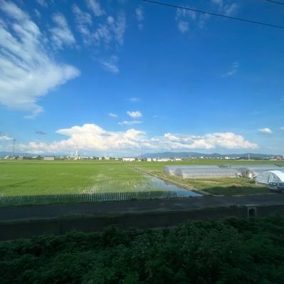 sknren104's profile picture. 年収400万円台会社員の投資アカウント。株 投資信託 ソーシャルレンディング FX 仮想通貨など 個別株NTT多め 退屈な長期投資家になりたい
