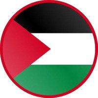 Mahmoud Abdelhamid 🇵🇸 (@mahmouddrift2) 's Twitter Profile