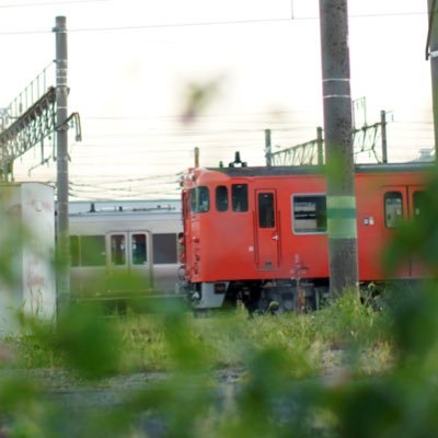 電車を撮ったり乗る事が好きな美大生🎨　メインは広島エリア🚃 特に国鉄車両が好きです^ - ^フォローお待ちしてます！✨✨ 写真垢📷→@photo_konoka サブ→@hanana_pv