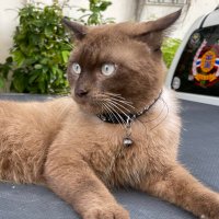 🏮ggmn.k (@giftlex2) 's Twitter Profile Photo