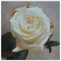 جهينة العيسى (@j_aleasa) Twitter profile photo