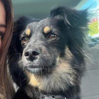🇵🇱Mario76🐺🇵🇱 #Nawrocki2025 (@p76mario) 's Twitter Profile Photo 🇵🇱Mario76🐺🇵🇱 #Nawrocki2025 (@p76mario) 's Twitter Profile Photo