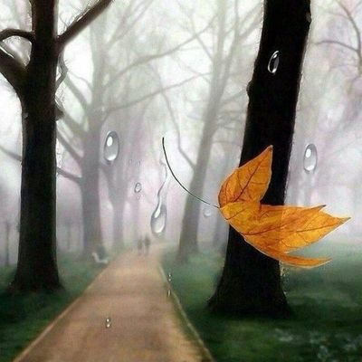 sm188589772256's profile picture. الهی وربی من لی غیرک