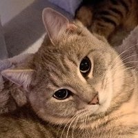 Eliasエリアス (@elias_1nk) 's Twitter Profile