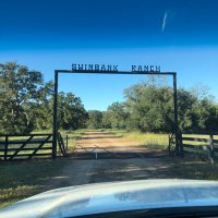 Reagan Swinbank (@reaganswinbank) 's Twitter Profile Photo