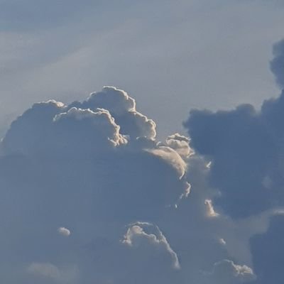 iamshloksharma's profile picture. 