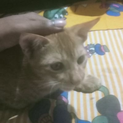 byangerchhata's profile picture. আজকে দাদা যাওয়ার আগে
বলবো যা মোর চিত্তে লাগে
নাই বা তাহার অর্থ হোক
নাই বা বুঝুক বেবাক লোক