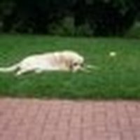 Thomas Seibel (@thomaspb007) 's Twitter Profile Photo Thomas Seibel (@thomaspb007) 's Twitter Profile Photo