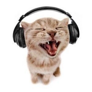 crisbstudies's profile picture. #collegetwt | 19 anos | psicologia - uff