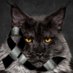Schellens Alois (@schellensalois) Twitter profile photo Schellens Alois (@schellensalois) Twitter profile photo