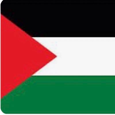 I don’t do social media but I started to support my country Palestine 🇵🇸 May Allah free all the oppressed .