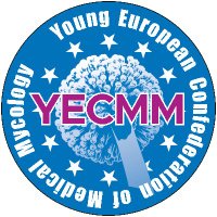 YoungECMM(@YoungECMM) 's Twitter Profile Photo