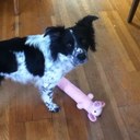 Jim Crane - @jimc58 - Twitter