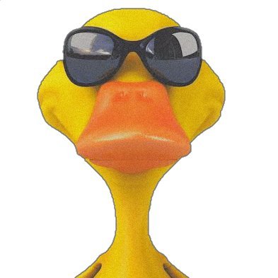 hpvwashere's profile picture. go big or go home
🦆