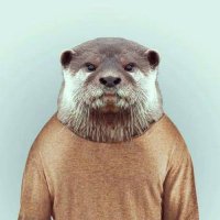 El Corrector (@bienincorrecto) 's Twitter Profile