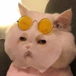 bmkeish's profile picture. for acads😭