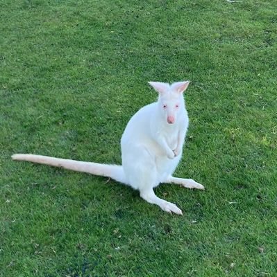 DJ_McFi's profile picture. 