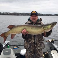 Steve Nehls (@stevenehls1) 's Twitter Profile