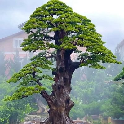 ilham_laskar89's profile picture. Pegiat Desa