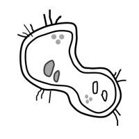 Microbial Evolution Lab, Dept. of ChE, IIT Bombay (@microbialevol) 's Twitter Profile