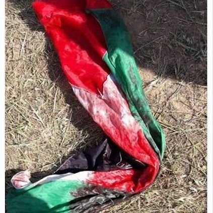 ujbslayfm's profile picture. Taxpayer from Districts 2 and 5