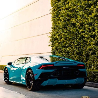 ParamSutra33204's profile picture. 