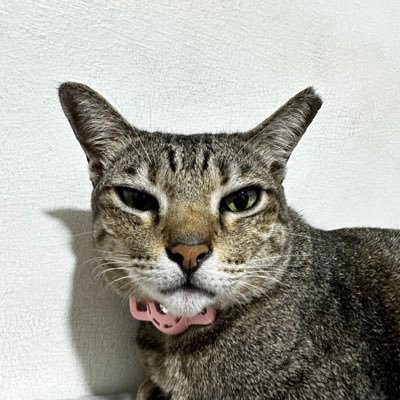 fernwerd_'s profile picture. 